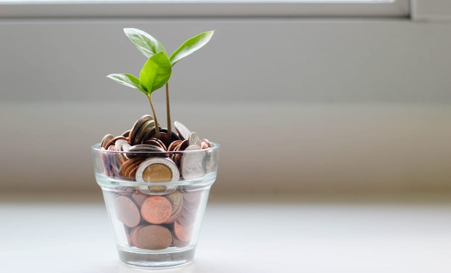 pennies in cup with plant coming out