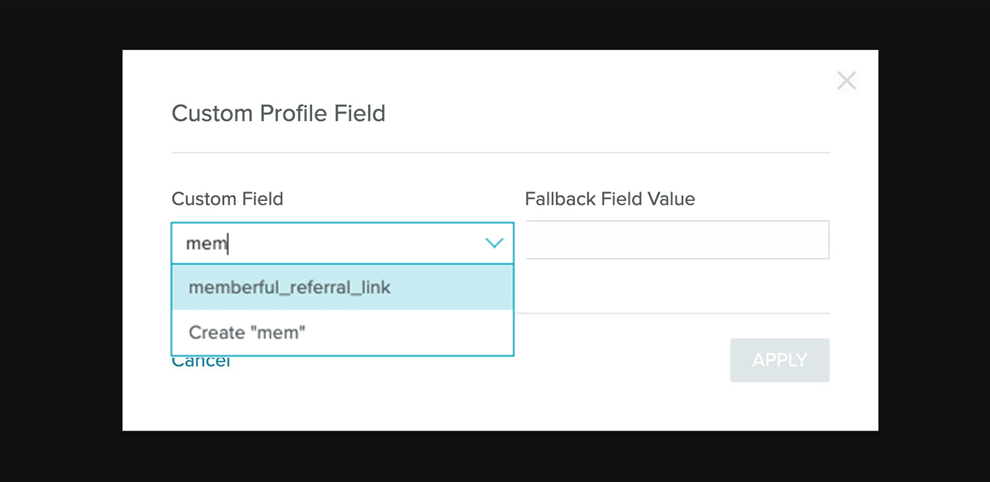 Sailthru Custom Field Search