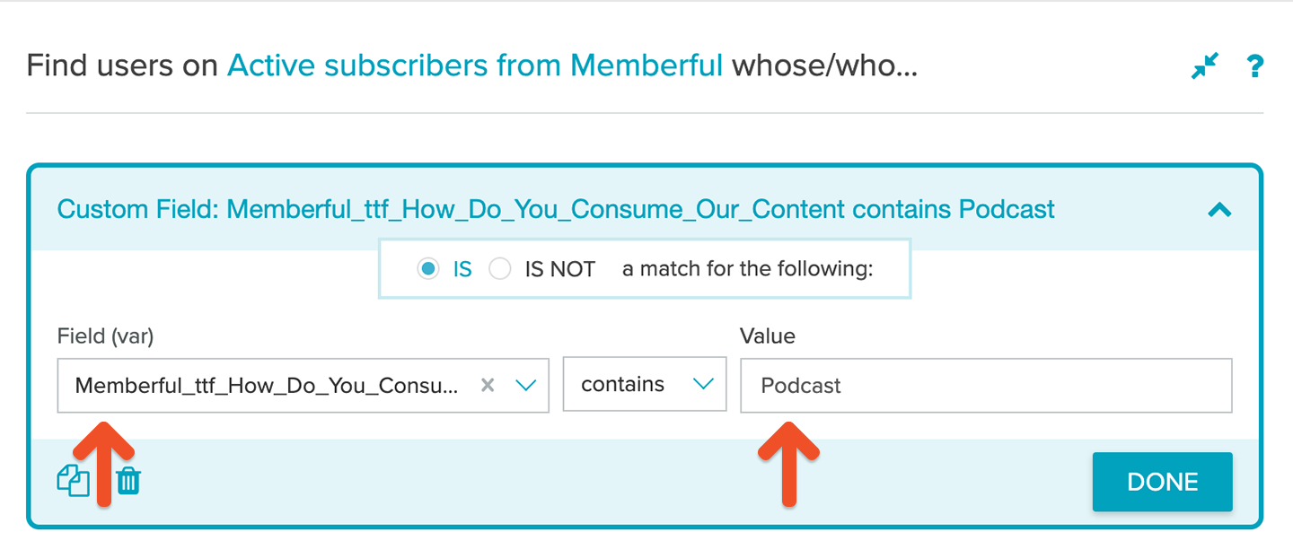 Segment with custom fields on Sailthru