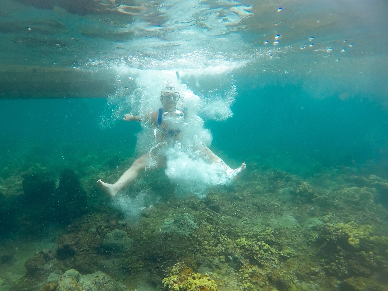 Diving in the Red Sea