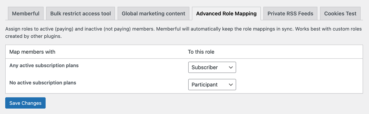 Advanced role mapping